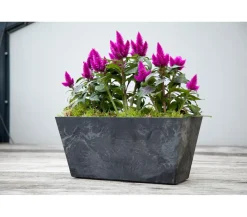 Artstone Kunststoff-Blumenkasten Ella