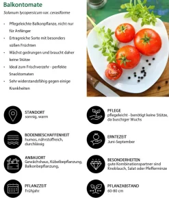 Balkontomate