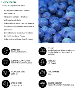 Bio Beeren-Set Bunter Obstgarten, 5-teilig