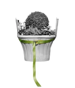 Bio Green Tragegurt für Kübelpflanzen, grün, ca. L250/B3,5 cm