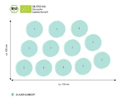 Bio Stauden-Set Blaues Meer, 12-teilig