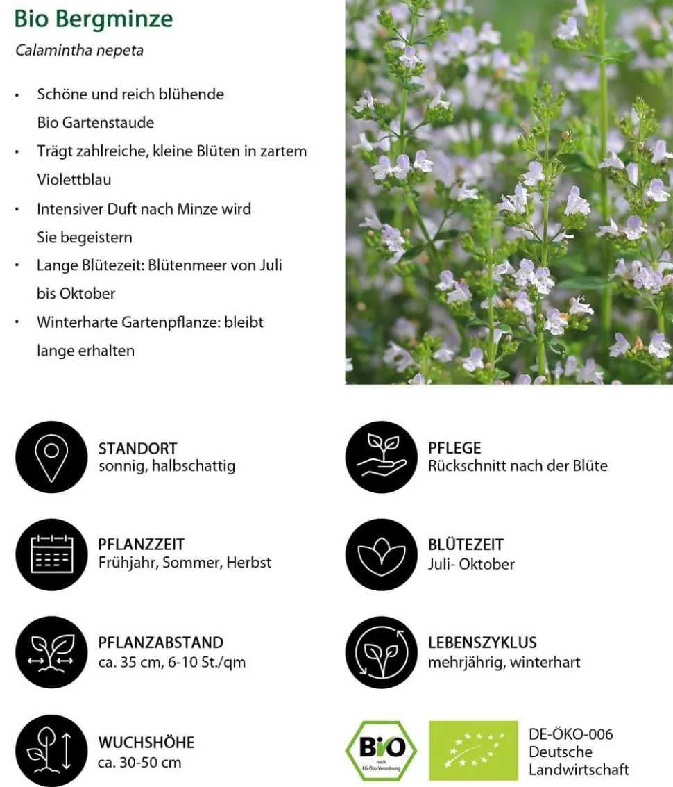 Bio Steinquendel