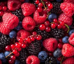 Bio Beeren-Set Lieblingsobst, 4-teilig