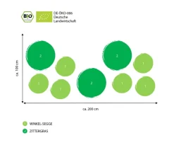 Bio Bodendecker Gräser-Set Grüne Oase, 9-teilig