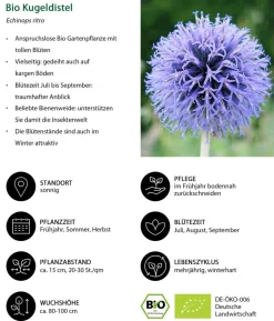Bio Kugeldistel