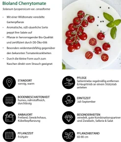 Bioland Gemüseset Gesunde Mischung, 3-teilig
