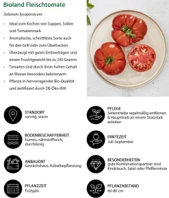 Bioland Gemüseset Tomatensalat, 3-teilig