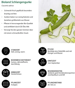 Bioland Nutzgarten-Set Gute Nachbarschaft, 6-teilig