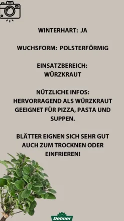 Bioland Oregano