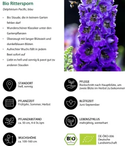 Bio Rittersporn, dunkelblau