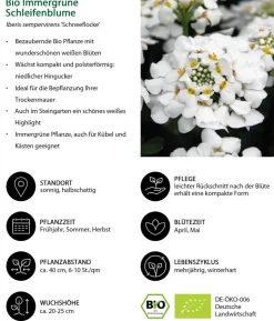 Bio Stauden-Set Alte Liebe, Landlust Kollektion, 18-teilig