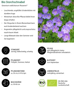 Bio Stauden-Set Alte Liebe, Landlust Kollektion, 18-teilig