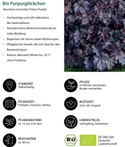 Bio Stauden-Set Beet im Halbschatten, 24-teilig