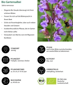 Bio Stauden-Set Blaue Stunde, Landlust Kollektion, 24-teilig