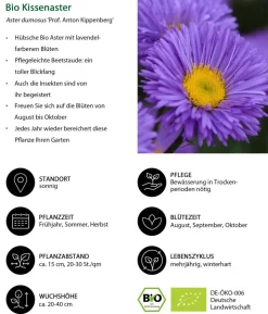 Bio Stauden-Set Blaue Stunde, Landlust Kollektion, 24-teilig