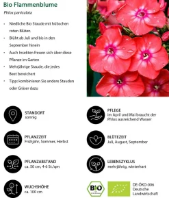 Bio Stauden-Set Blütenkollektion, Landlust Kollektion, 24-teilig