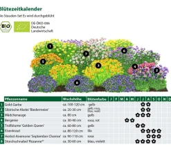 Bio Stauden-Set Es wird durchgeblüht, 24-teilig