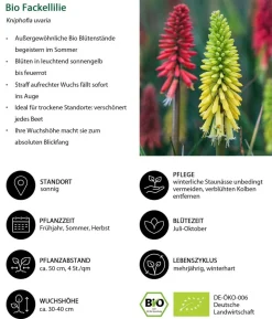 Bio Stauden-Set Feuerwerk im Garten, Landlust Kollektion, 12-teilig
