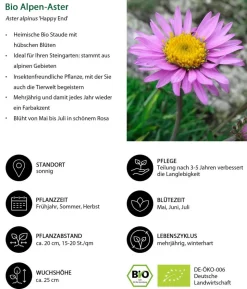Bio Stauden-Set Großer Alpengarten, 24-teilig