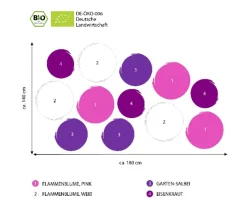 Bio Stauden-Set Insektenparadies Schmetterling, 12-teilig
