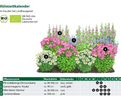 Bio Stauden-Set Landhausgarten, 12-teilig