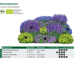 Bio Stauden-Set Rosenbegleiter, 12-teilig