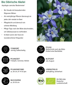Bio Stauden-Set Schattenplatz, Landlust Kollektion, 18-teilig