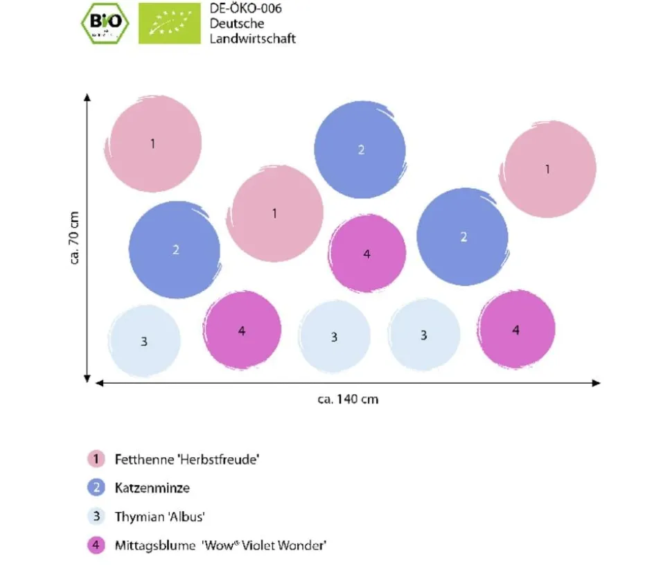 Bio Stauden-Set Terrassenglück, Landlust Kollektion, 12-teilig