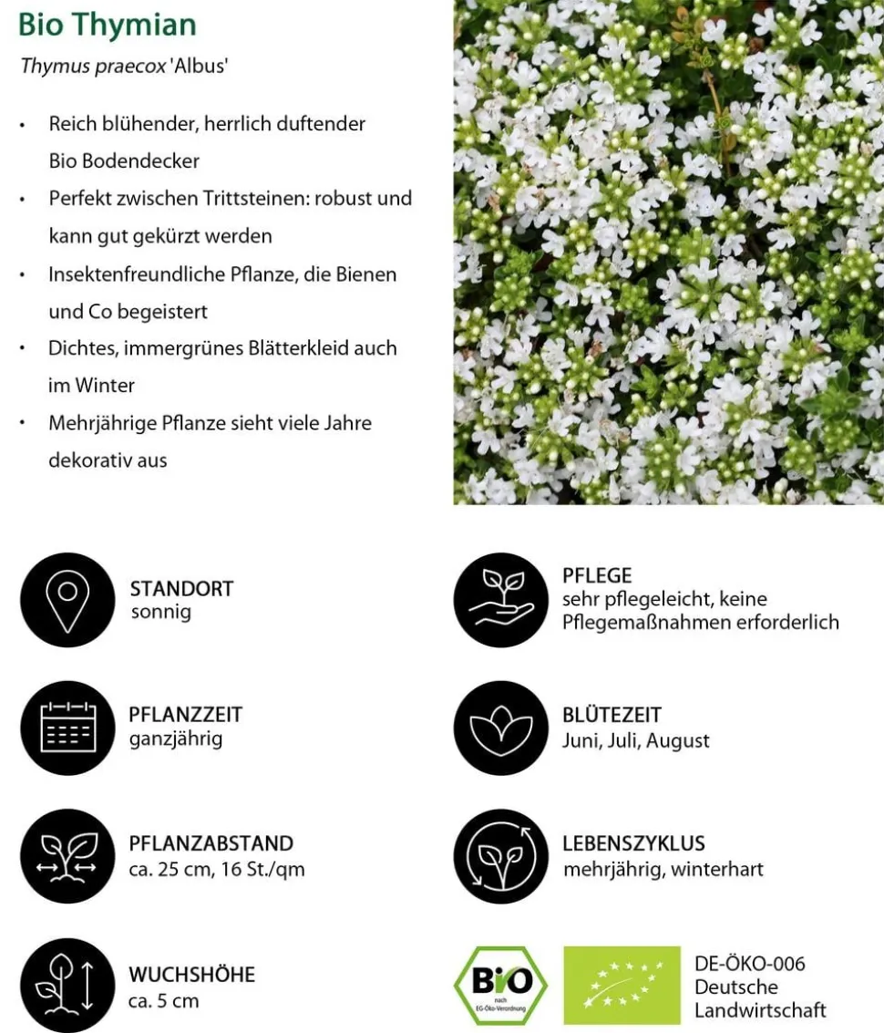 Bio Stauden-Set Terrassenglück, Landlust Kollektion, 12-teilig