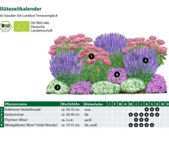 Bio Stauden-Set Terrassenglück, Landlust Kollektion, 12-teilig