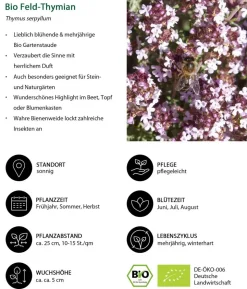 Bio Stauden-Set Trocken durch den Sommer, 12-teilig