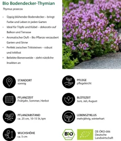 Bio Stauden-Set Trocken durch den Sommer, 24-teilig