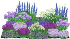Bio Stauden-Set Weiß-blaues Gartenparadies, 24-teilig