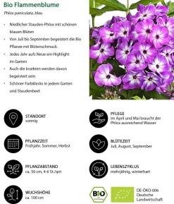 Bio Stauden-Set Weiß-blaues Gartenparadies, 24-teilig