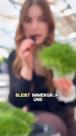 Bio Sternmoos