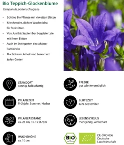 Bio Teppich-Glockenblume