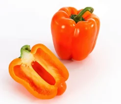 Blockpaprika, orange