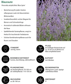 Blütenhecke Nature, 4-teilig