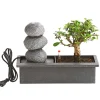 Bonsai, mit Brunnen