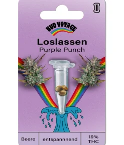 Bud Voyage Hanfsamen Loslassen Purple Punch, 3 Stk.