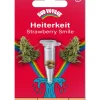 Bud Voyage Hanfsamen Heiterkeit Strawberry Smile, 3 Stk.
