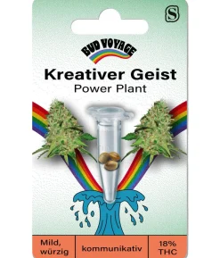 Bud Voyage Hanfsamen Kreativer Geist Power Plant, 3 Stk.