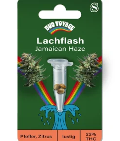 Bud Voyage Hanfsamen Lachflash Jamaican Haze, 3 Stk.