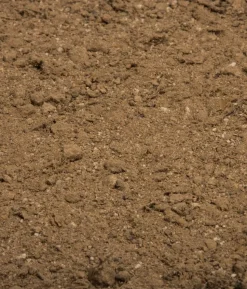COMPO BIO Naturdünger mit Guano