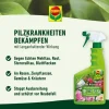 COMPO Duaxo® Rosen Pilz-frei AF, 750 ml