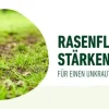 COMPO Rasendünger Unkraut & Moos Nein danke!, 1,3 l