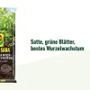 COMPO SANA® Grünpflanzen- und Palmenerde, 20 l