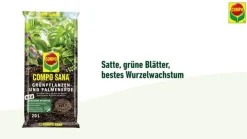 COMPO SANA® Grünpflanzen- und Palmenerde, 20 l