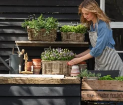 Dehner Gourmet Garten Oregano
