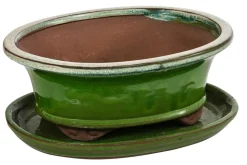 Dehner Keramik-Bonsaischale, oval, hellgrün/beige